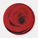 Recherche de velours rouge magnets Amour