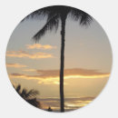 Zoek naar meervoud stickers Kleurrijk