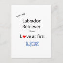 Recherche de labrador retriever cartes postales Laboratoire noir