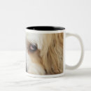 Recherche de chien humoristique tasses Animaux domestiques