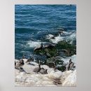 Zoek naar zeegolven posters Natuur