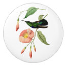 Recherche de colibri throated Cru