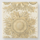 Recherche de haeckel dessous de verres Mer