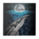 Recherche de mammifères carreaux Océan