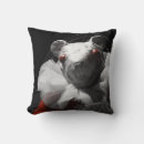 Recherche de sang coussins Rouge