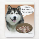 Recherche de malamute tapis souris Amoureux des chiens