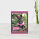 Zoek naar schotse humor kaarten Hond