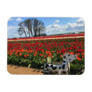 Recherche de tulipe magnets Printemps