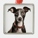 Recherche de greyhound ornements Italien