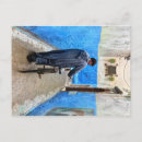 Recherche de essaouira posters Marrakech