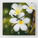 Zoek naar frangipani bloem kunst Spa
