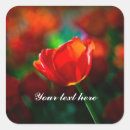 Recherche de tulip autocollants Flore