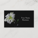 Zoek naar fractals visitekaartjes Business