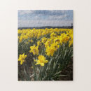 Recherche de jonquilles puzzles Jaune