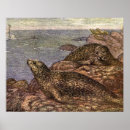 Zoek naar marien dier posters Zeedieren