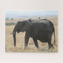 Recherche de éléphant africain puzzles Défenses