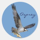 Recherche de balbuzard autocollants Vol ospreys