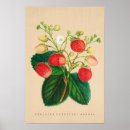 Recherche de perpétuel posters Pour tous