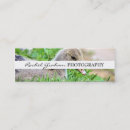 Recherche de faune cartes visite Nature