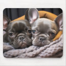 Recherche de câlin tapis souris Animal