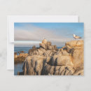 Zoek naar zeegezichten briefkaarten Kust