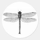 Recherche de insectes vintages autocollants Noir et blanc