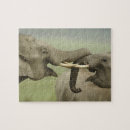 Zoek naar aziatische olifant puzzels Fauna
