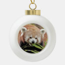 Zoek naar décorations de noël Rood