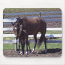 Recherche de colt tapis souris Cheval