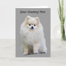 Recherche de pom vœux cartes Chiot