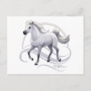 Recherche de cheval arabe cartes postales Chevaux