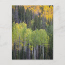 Zoek naar provo posters Herfst