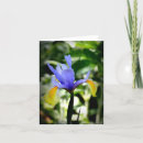 Zoek naar iris kaarten Blauw