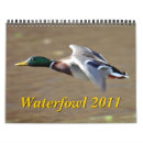 Recherche de oiseaux aquatiques Canard