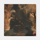 Recherche de concentration magnets Faune