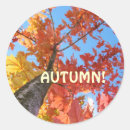 Recherche de feuille automne autocollants Toute personne