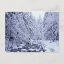 Zoek naar bek briefkaarten Winter