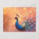 Recherche de plumage cartes postales Paon