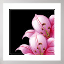 Recherche de lillie posters Maison