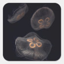 Recherche de eau salée autocollants Aquarium