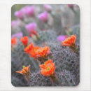 Recherche de aride tapis souris Fleurs
