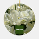 Recherche de de noël de tulipe Blanc