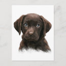 Recherche de peinture de labrador cartes postales Extracteur