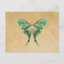 Zoek naar luna briefkaarten Moth