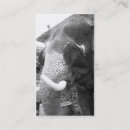 Recherche de éléphant noir cartes visite Animaux