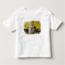 Recherche de gatlinburg tshirts Parc national