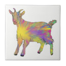 Recherche de peinture animale carreaux Drôle