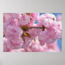 Zoek naar bloeiende bomen posters Bloem