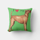 Zoek naar ierse kussens Hart