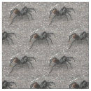 Recherche de tarentules Arachnide